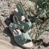 Andres Machado - Grøn sandal