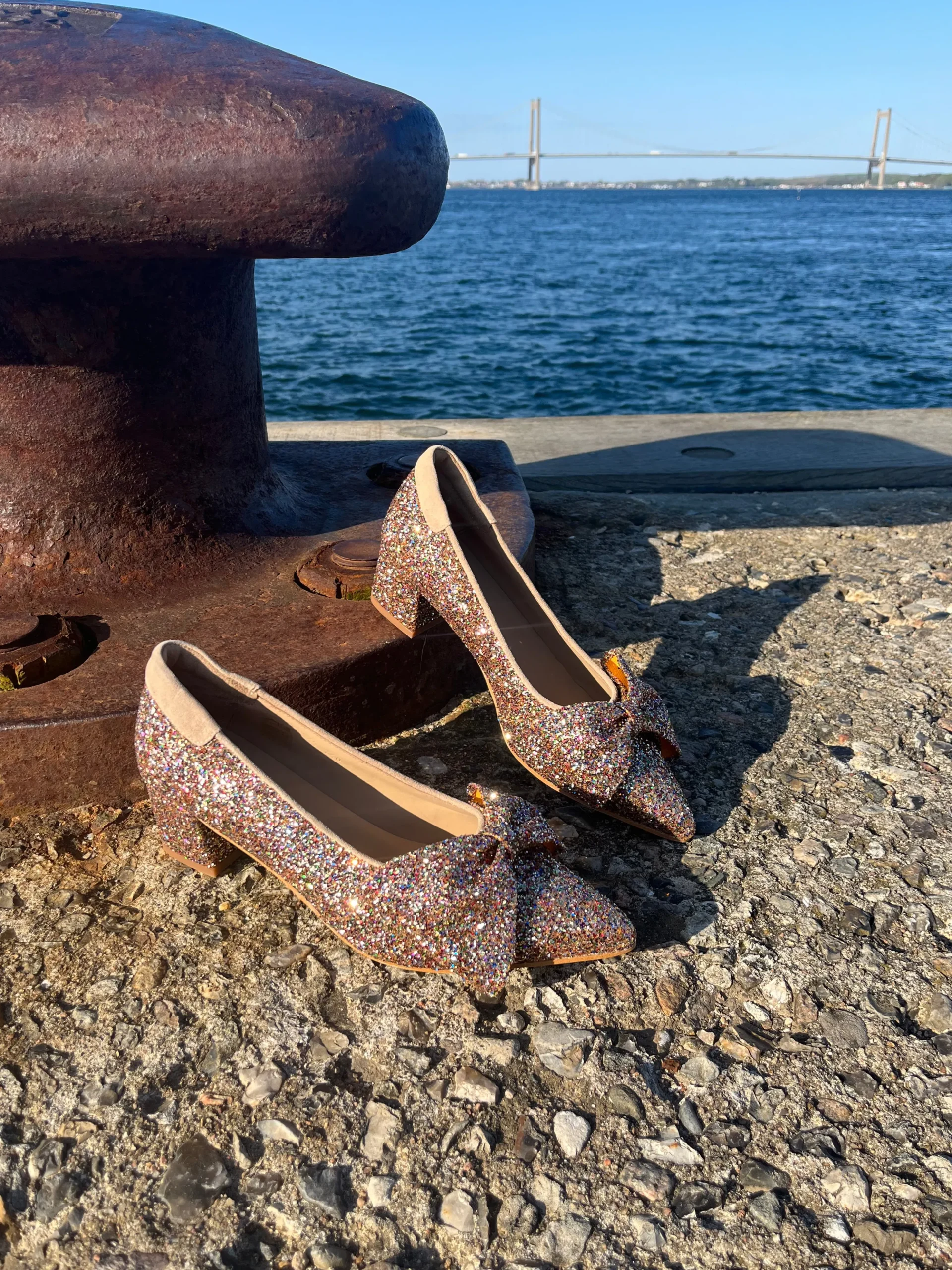 angulus__multi_glimmer_pu_0.webp Angulus - Multi glimmer pumps
