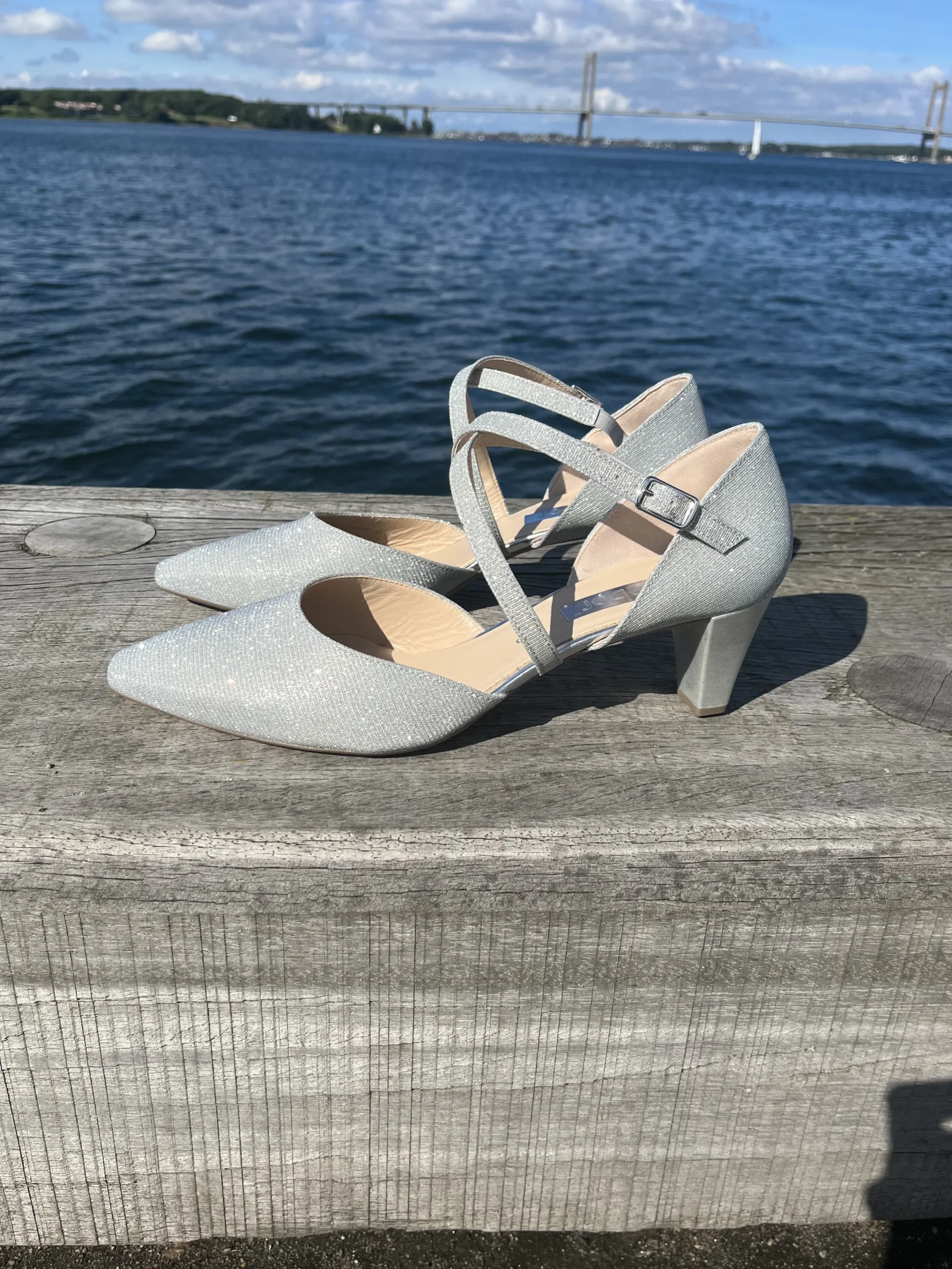 gabor__slv_pumps_0-1.webp Gabor - Sølv Pumps
