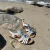 Remonte - Hvid sandal